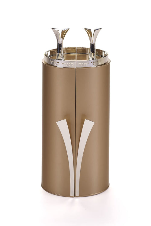 NOA TORAH CASE